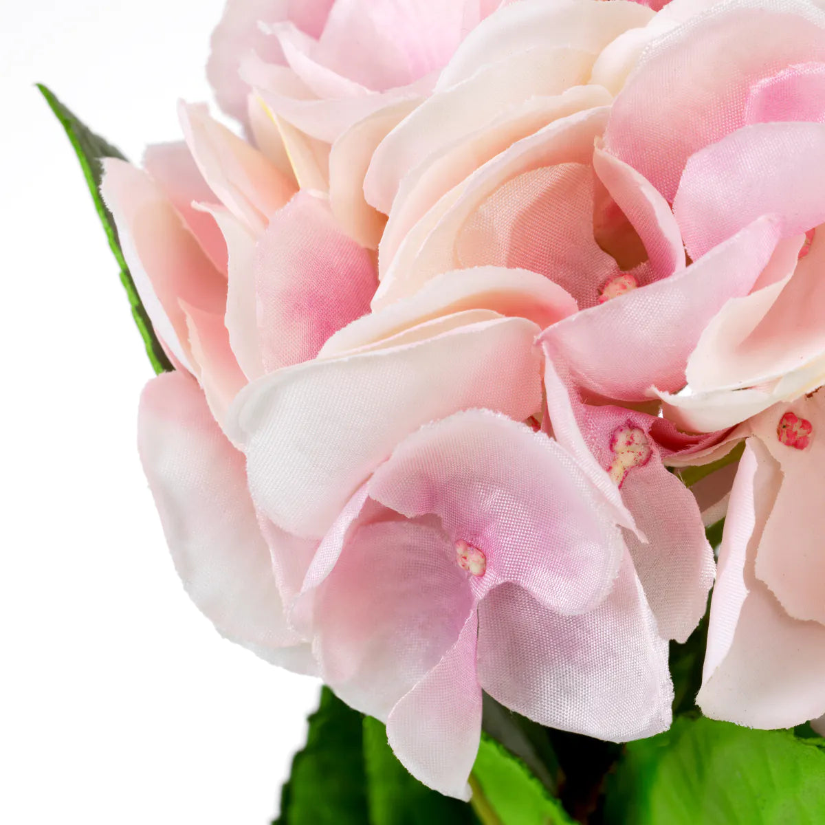 Bukett med hortensior