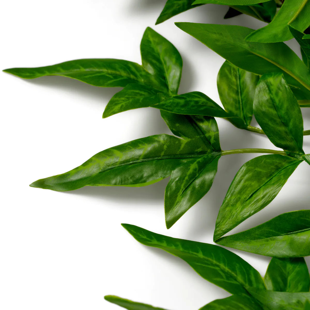 Bukett med Tender leaves