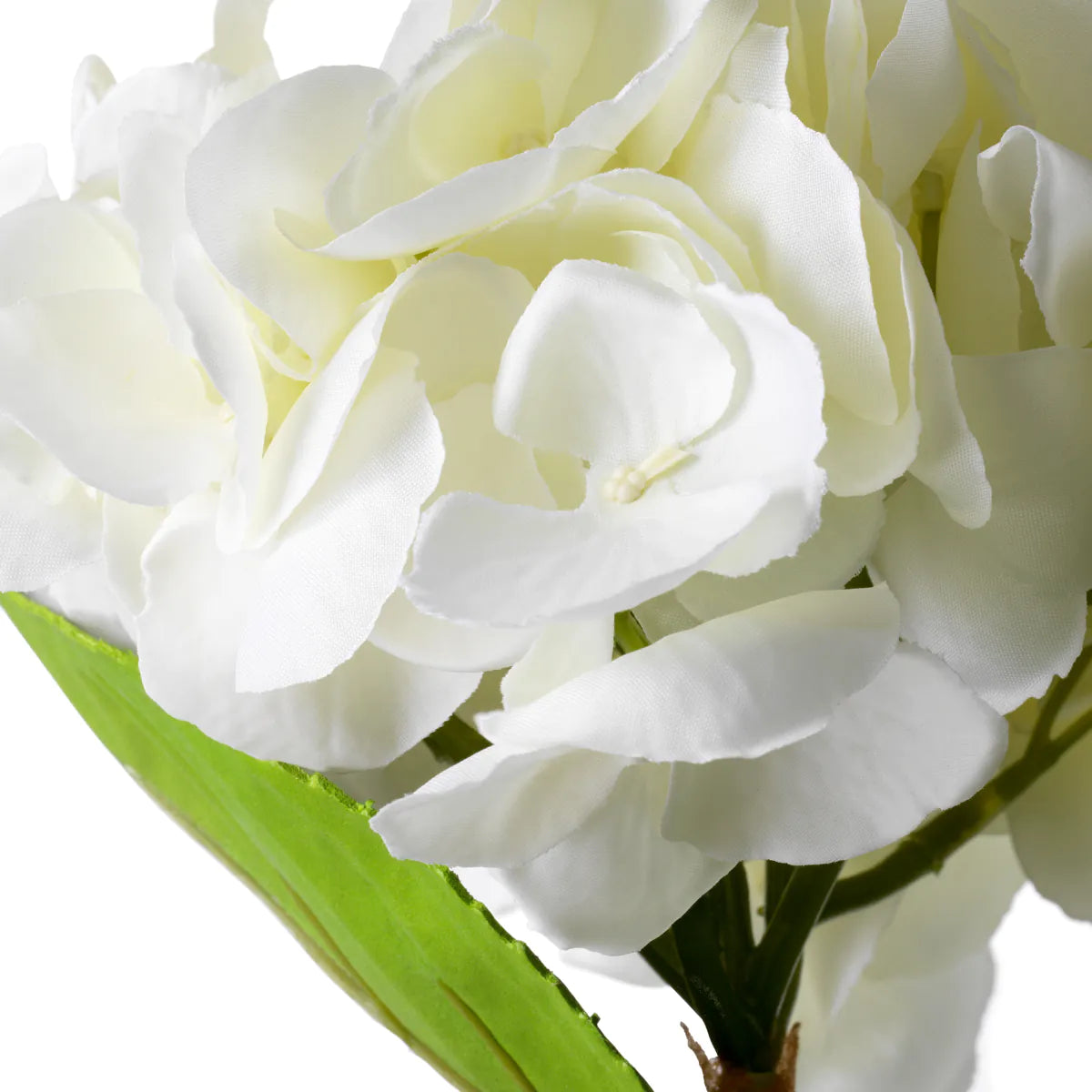 Bukett med hortensior