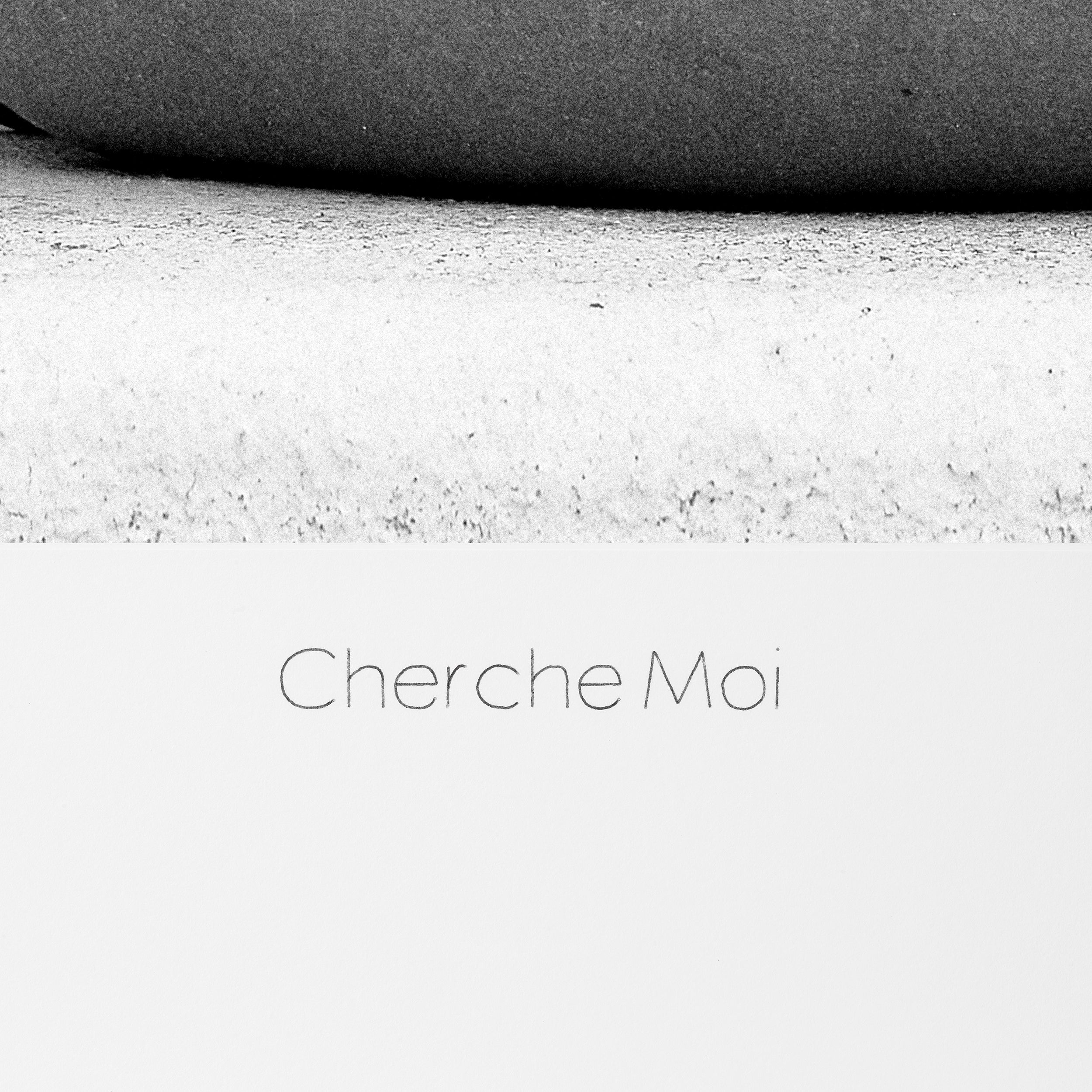 Print Philippe Vogelenzang - Cherche moi