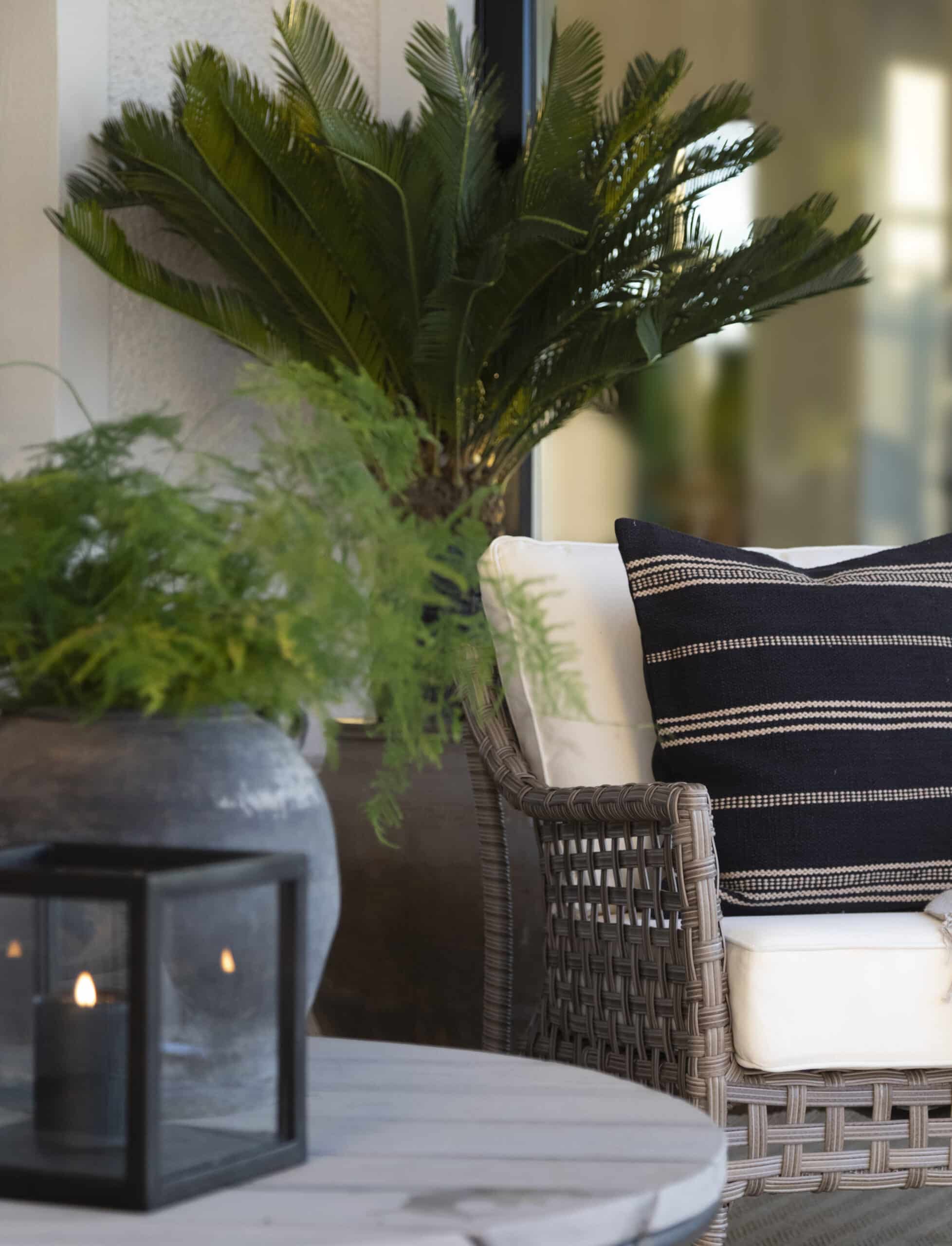 Fåtölj Santa Monica