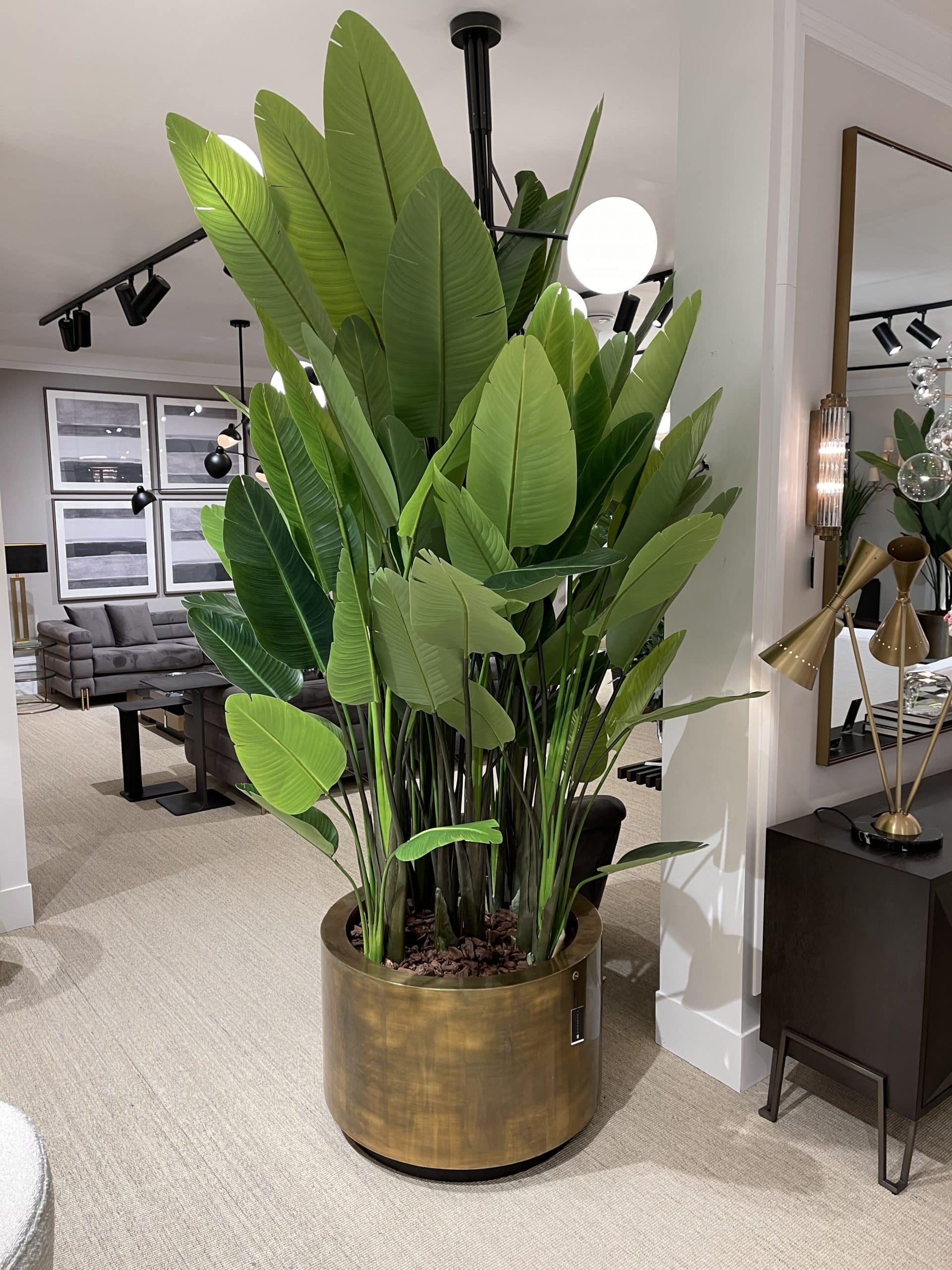 Planteringslåda Jasper