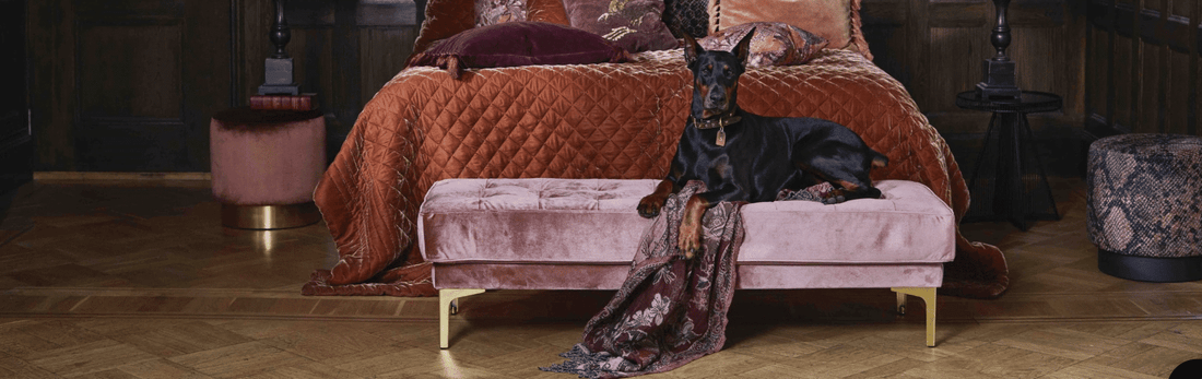 De 10 hetaste produkterna på Stockton.se