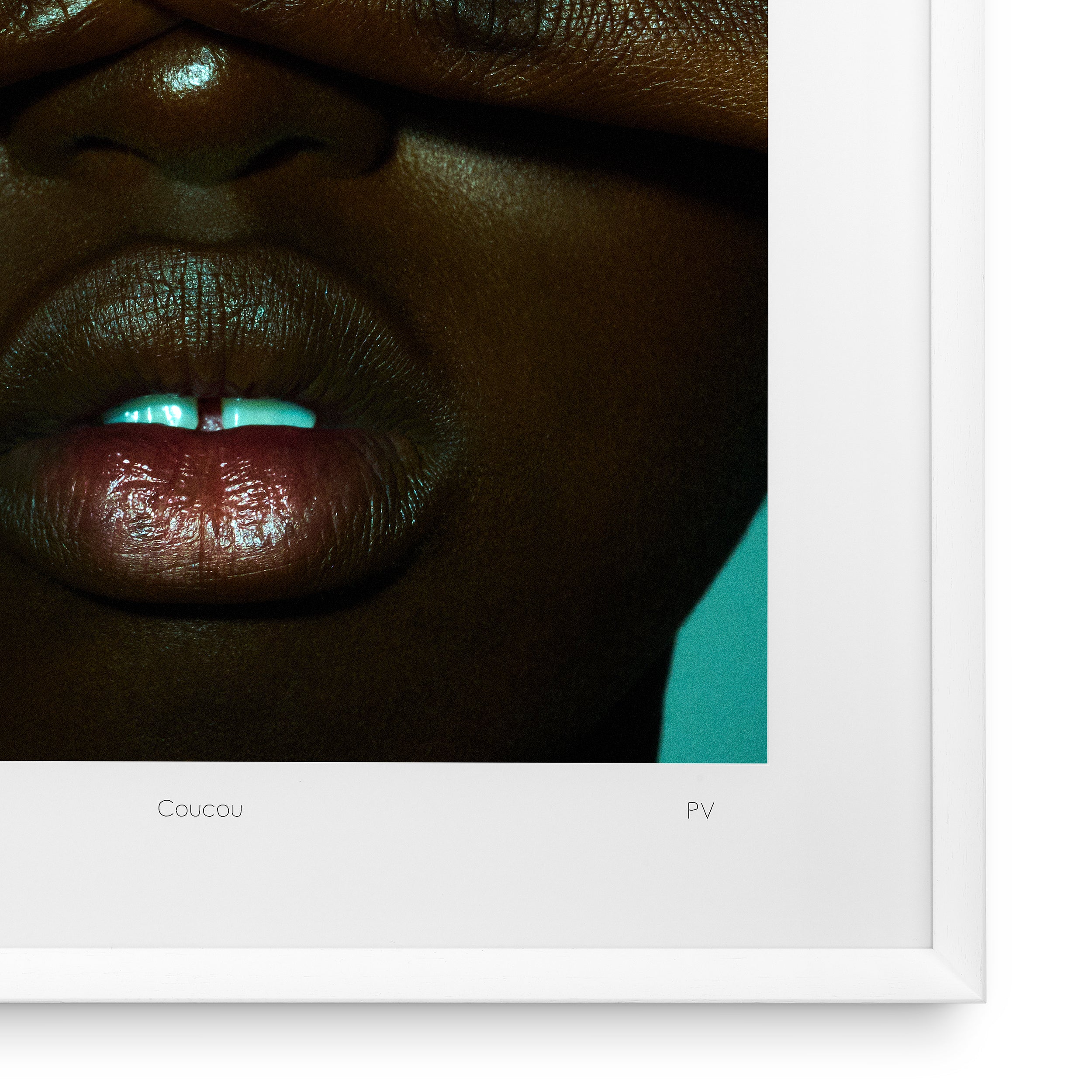 Tavla Philippe Vogelenzang - Coucou