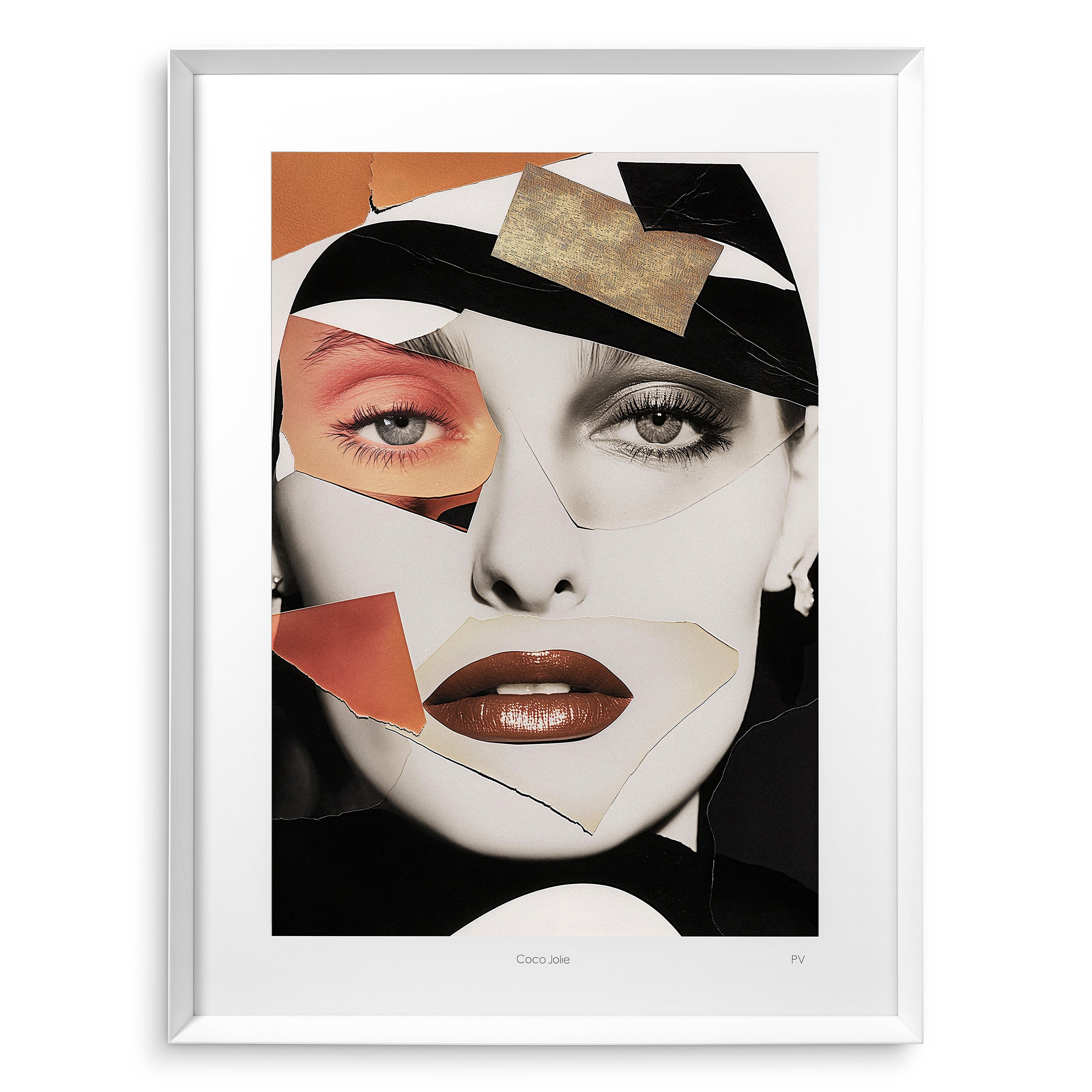 Tavla Philippe Vogelenzang - Coco Jolie