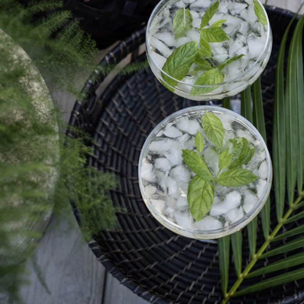 Bricka Amazon 2-Pack