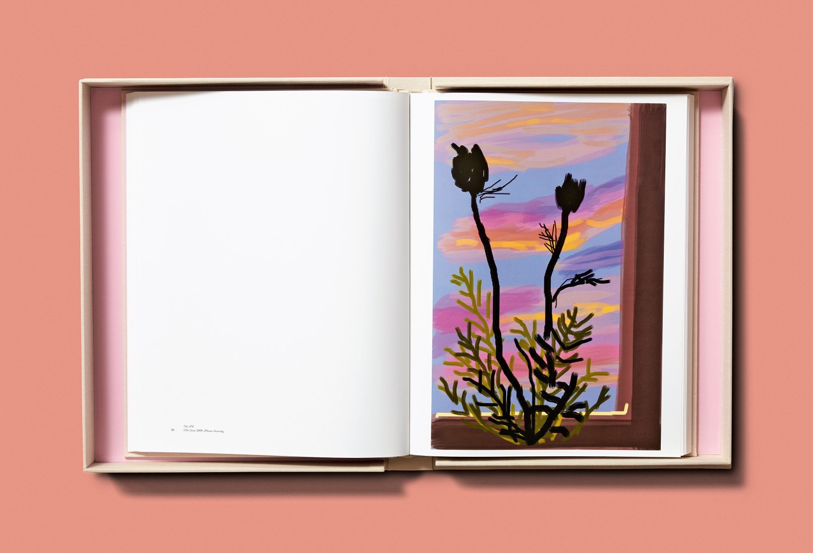 New Mags - David Hockney. My Window. (Baby Sumo)